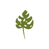 Vivid image of flower. Perfect for articles, books, apps, web sites, textile. Illustration of monstera leaf vector