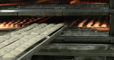 Baker Pushing The Manual Loader With Dough Inside The Deck Oven In The Bakery. - medium shot video