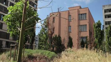 A building with a tall tree in front of it video