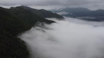 Aerial view of the trees in the valley with fog in the morning. Landscape of misty valley and mountain clouds in thailand. The dawn of the mountains with the sea of mist. video