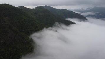 aéreo ver de el arboles en el Valle con niebla en el Mañana. paisaje de brumoso Valle y montaña nubes en tailandia el amanecer de el montañas con el mar de neblina. video