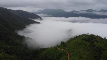 Aerial view of the trees in the valley with fog in the morning. Landscape of misty valley and mountain clouds in thailand. The dawn of the mountains with the sea of mist. video