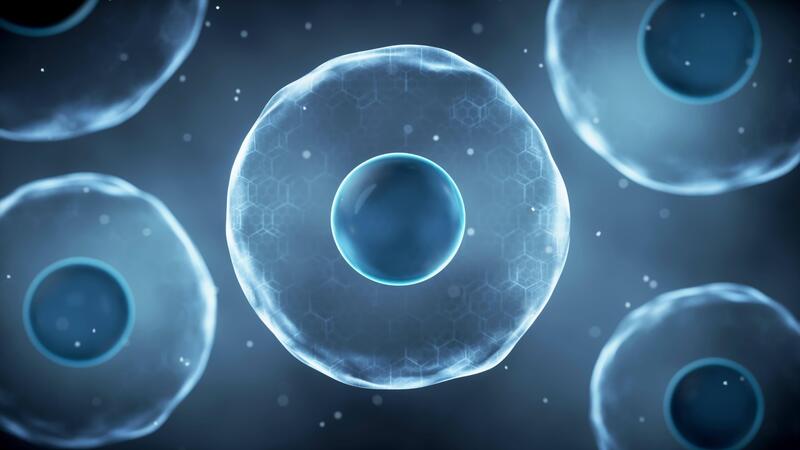 3d Cell Stock Video Footage for Free Download