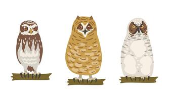Owl Species as Nocturnal Bird of Prey with Hawk-like Beak and Forward-facing Eyes Perching on Tree Branch Set vector