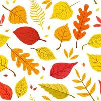 Autumn Leaves of Various Forest Trees Natural Seamless Pattern, Element Can Be Used for Fabric Print, Wallpaper, Packaging, Illustration vector