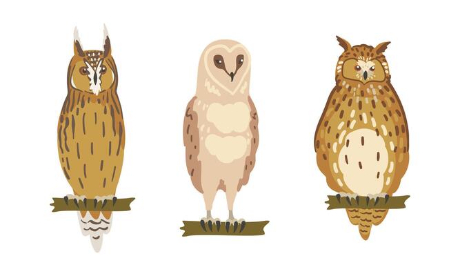Owl Species as Nocturnal Bird of Prey with Hawk-like Beak and Forward-facing Eyes Perching on Tree Branch Set