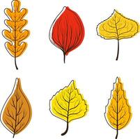 Collection of Bright Colorful Autumn Leaves from Different Kind Forest Trees Illustration vector