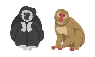 Gibbon and Macaque Monkey as Herbivorous Ape in Sitting Pose Set vector