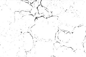 Rustic background with detailed grain vector