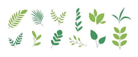 Set of different green abstract branches and leaves. Spring or summer collection. Botanical floral natural design elements. Flat illustration isolated on white background vector