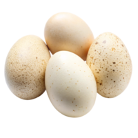 Four speckled eggs, varying in size and color, laid close together. Their natural, dotted texture adds a rustic, organic feel png