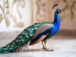 A peacock is standing on a marble floor photo
