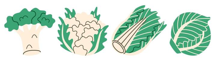 Flat illustration of cabbage, broccoli, and cauliflower showing whole and cut views, ideal for healthy eating, cooking projects, and vegetable-inspired designs. vector