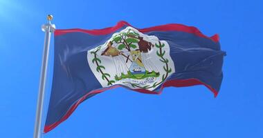 Belize flag waving at wind in slow with blue sky, loop video