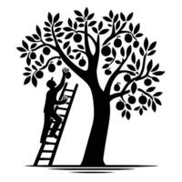 A man is climbing the ladder to reach the fruit tree vector