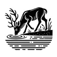 A black and white deer drinking water vector