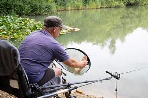 The fisherman caught a bream with a net for a successful catch in the summer on the lake, fishing sport, after catching the man releases the fish into the water, photo