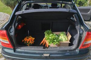 cardboard box with an assortment of fresh vegetables stands in the trunk of a car, natural products and healthy eating, the concept of cooking at home, high quality photo