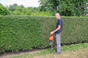 male gardener trims a thorny holly hedge with an electric hedge trimmer in his backyard garden, stops because of fatigue and looks at the camera while leaning on the hedge trimmer, photo