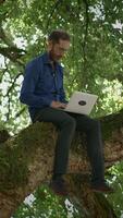 Remote Work in Nature A Man Sitting Comfortably on a Tree Branch with a Laptop Computer video