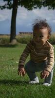 A playful toddler is joyfully enjoying the beauty of nature while exploring in a park video