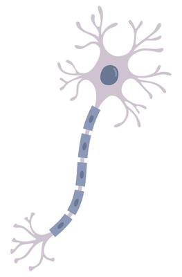 Illustration of grey neuron. Nerve cell