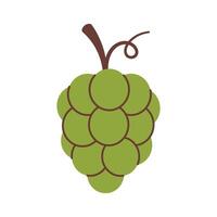Grape icon. Green grape illustration. Organic vitamins and healthy nutrition. Isolated bunch of grapes. Flat design, doodle style. Graphic print for t-short. vector