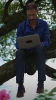 A man is working diligently on his laptop while comfortably seated high up in a tree video