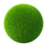 Vibrant Green Spherical Moss Ball with Fuzzy Texture png