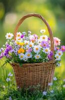 Basket with flowers on the grass photo