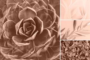Succulent and Botanical Collage in Mocha Mousse Tones for Natural Aesthetics photo