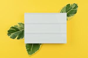 Template with white mood board with natural leaves of ficus on yellow background photo