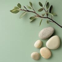 A minimalist and serene composition featuring smooth light-colored stones and a delicate leafy branch on a soft green background, evoking calmness, nature, and simplicity photo
