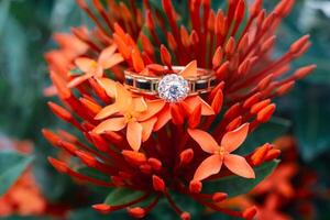 Sparkling diamond ring nestled on vibrant red Ixora flowers, so nice ss photo