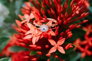 Sparkling diamond ring nestled on vibrant red Ixora flowers, so nice s photo