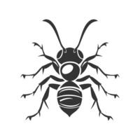 Black and white drawing of a wasp. The drawing is of a wasp with its legs spread out vector
