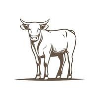 Cow is standing in front of a white background. The cow is the main focus of the image vector
