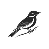 Black and white bird is perched on a branch. The bird is small and has a pointed beak vector