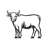 Black and white cow standing in front of a white background. vector