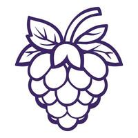 Purple grape with a leafy stem. The grape is in the center of the image vector