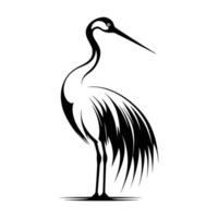 Black and white drawing of a bird with a long neck. The bird is standing on a white background vector