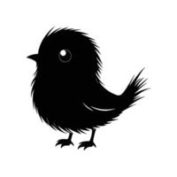 Black bird with a fluffy tail. The bird is looking at the camera. The image is black and white vector