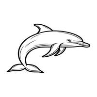 Dolphin coloring pages for kids vector