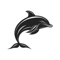 Black and white dolphin is leaping out of the water. The dolphin is the main focus of the image vector