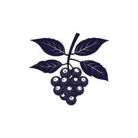 Leafy branch with a bunch of grapes hanging from it. The grapes are small and round vector