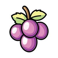 Cartoon drawing of a bunch of purple grapes. The grapes are arranged in a cluster vector