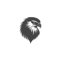 Striking black and white eagle with a fierce expression on its face vector