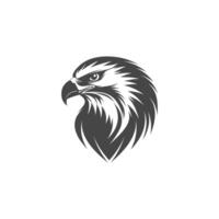 Large, black and white eagle with a fierce expression on its face vector