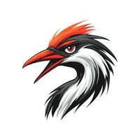 A red and black bird with a long beak vector