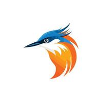 Bird with orange and blue feathers. The bird has a blue beak and is looking at the camera vector